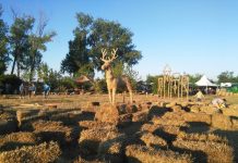 15. Slama Land Art Festival