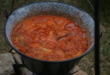 11. Bizovačka fišijada okuplja ljubitelje fiša i dobre zabave