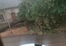 Olujno nevrijeme zahvatilo Hrvatsku, orkanski vjetar ruši stabla, otkazana nastava u više županija