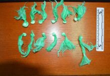Policija pronašla marihuanu i dvije biljke cannabisa, 41-godišnjaku slijedi kaznena prijava