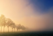 Pretežno sunčano, ujutro i navečer lokalno magla