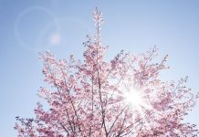 Ponedjeljak sunčan i topao s temperaturama do 19°C