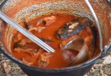 Sezona fiša u Baranji počinje: otvorene prijave za prvu ovogodišnju fišijadu