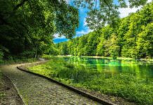 U prvih šest mjeseci ove godine Park prirode Papuk bilježi više od 50.000 posjetitelja