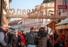 Martinje i Okusi jeseni u Požegi