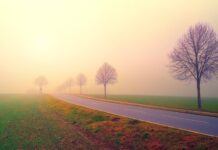 Magla i niski oblaci u unutrašnjosti, najviša dnevna do 12°C