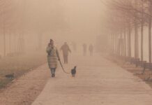 Pretežno sunčano, ujutro i navečer lokalno magla