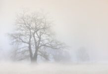 Tijekom dana djelomice sunčano, ujutro i navečer maglovito