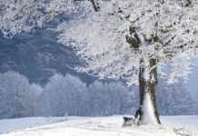 Stiže nagla i intenzivna promjena vremena. U Slavoniji moguć snijeg