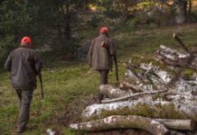 Vukovarsko-srijemska županija: Javne potpore za lovstvo od travnja 2026.