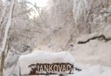 Privremeno zatvorena cesta za Jankovac