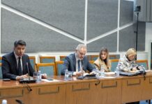 MIP odobrio skidanje imuniteta SDP-ovoj zastupnici Antolić Vupori