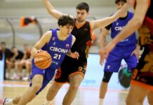 Marsonia namučila Cibonu, ali ostala kratka u četvrtfinalu Kupa Krešimira Ćosića