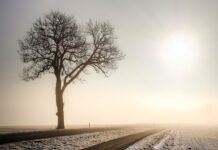 Vrijeme djelomice sunčano, ujutro i navečer maglovito