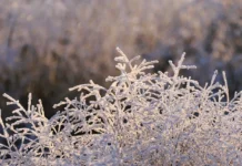 Sutra upozorenje na hladni val, jutarnje temperature do -11 °C
