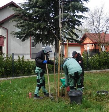 Općina Bizovac nastavlja s ozelenjivanjem javnih površina