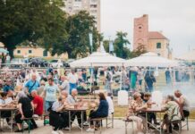 Predstavljen program ovogodišnjeg DunavFesta