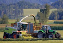 Preuzeo 3,5 milijuna kilograma kukuruzne silaže koju nije platio