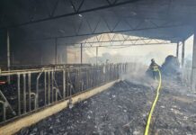 Zbog kvara na električnim instalacijama izgorjela staja