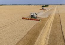 Agro-Tovarnik postaje dio Žito grupe