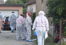 Potvrđeni novi slučajevi afričke svinjske kuge u Osječko-baranjskoj županiji