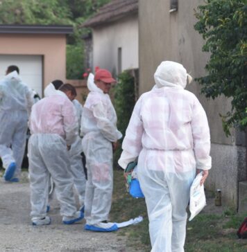 Potvrđeni novi slučajevi afričke svinjske kuge u Osječko-baranjskoj županiji