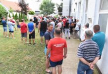 Ogorčenje u Jagodnjaku: U ponedjeljak počinje eutanazija svinja, mali ljudi ostaju bez svega