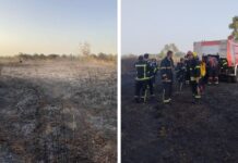 U gašenju velikog požara u Kopačkom ritu sudjelovalo 40 vatrogasaca i 13 vozila
