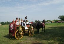 Konjogojska udruga „Baranjac“ najavljuje događaj 23. svibnja