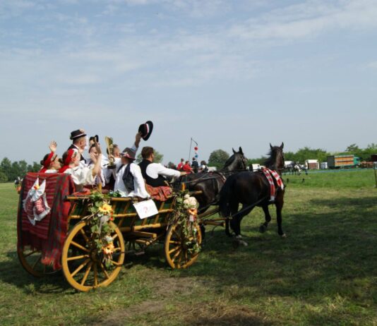 Konjogojska udruga „Baranjac“ najavljuje događaj 23. svibnja