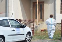 Drugo izbijanje ASK na području Općine Erdut