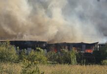 Veliki požar kod Pleternice: Gori pogon za proizvodnju stolarije, vatrogasci spriječili širenje na kuće