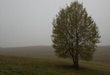 Severe Weather Europe: Dolazi val hladnoće, temperature padaju i do 15 stupnjeva