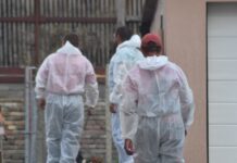 Dva nova slučaja afričke svinjske kuge danas na području Osječko-baranjske županije