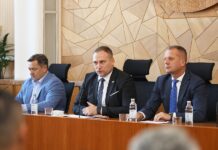 Ministar Vlajčić najavio potpuni odstrel divljih svinja u tri županije zbog svinjske kuge