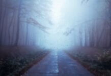 Vrijeme oblačno, poslijepodne moguća kiša