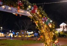 Virovitica se sprema za „Prosinac u gradu“: Otvoren javni poziv za zakup drvenih kućica