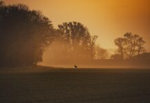 Vrijeme djelomice sunčano, ujutro lokalno magla i rosulja