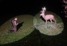 Danas slavimo svetog Huberta – zaštitnika lovaca