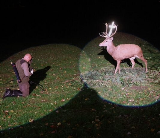 Danas slavimo svetog Huberta – zaštitnika lovaca