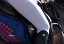 Mlada Vinkovčanka pokrenula hrvatski brend konjičke opreme koji osvaja svijet