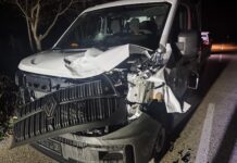 Kombi naletio na jelena