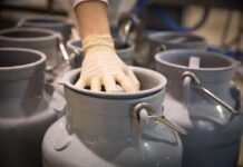 Obrt Điđo iz Đakova nagrađen je za najbolju mliječnu farmu u 2025.