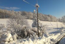 Zbog snijega jučer bez električne energije 7.400 korisnika u Osječko-baranjskoj županiji