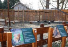 U osječkom ZOO vrtu otvoreno Slavonsko selo