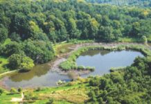 Sovsko jezero: “Modro oko Slavonije” i raj za ljubitelje netaknute prirode