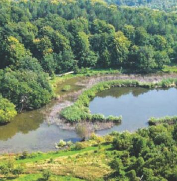 Sovsko jezero: “Modro oko Slavonije” i raj za ljubitelje netaknute prirode