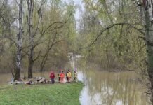 Vatrogasci spašavali ljude sa stabala: U akciji na Savi izvučeno 30 osoba