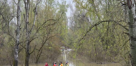 Vatrogasci spašavali ljude sa stabala: U akciji na Savi izvučeno 30 osoba