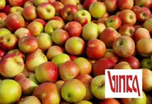 Osatina grupa preuzela Vinku plus